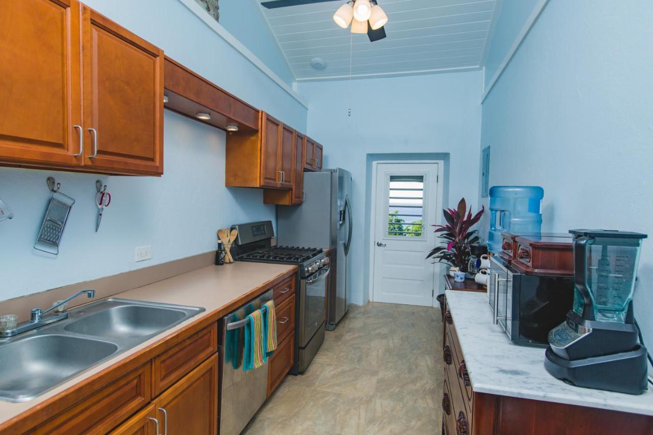Feather Leaf Inn Frederiksted ภายนอก รูปภาพ