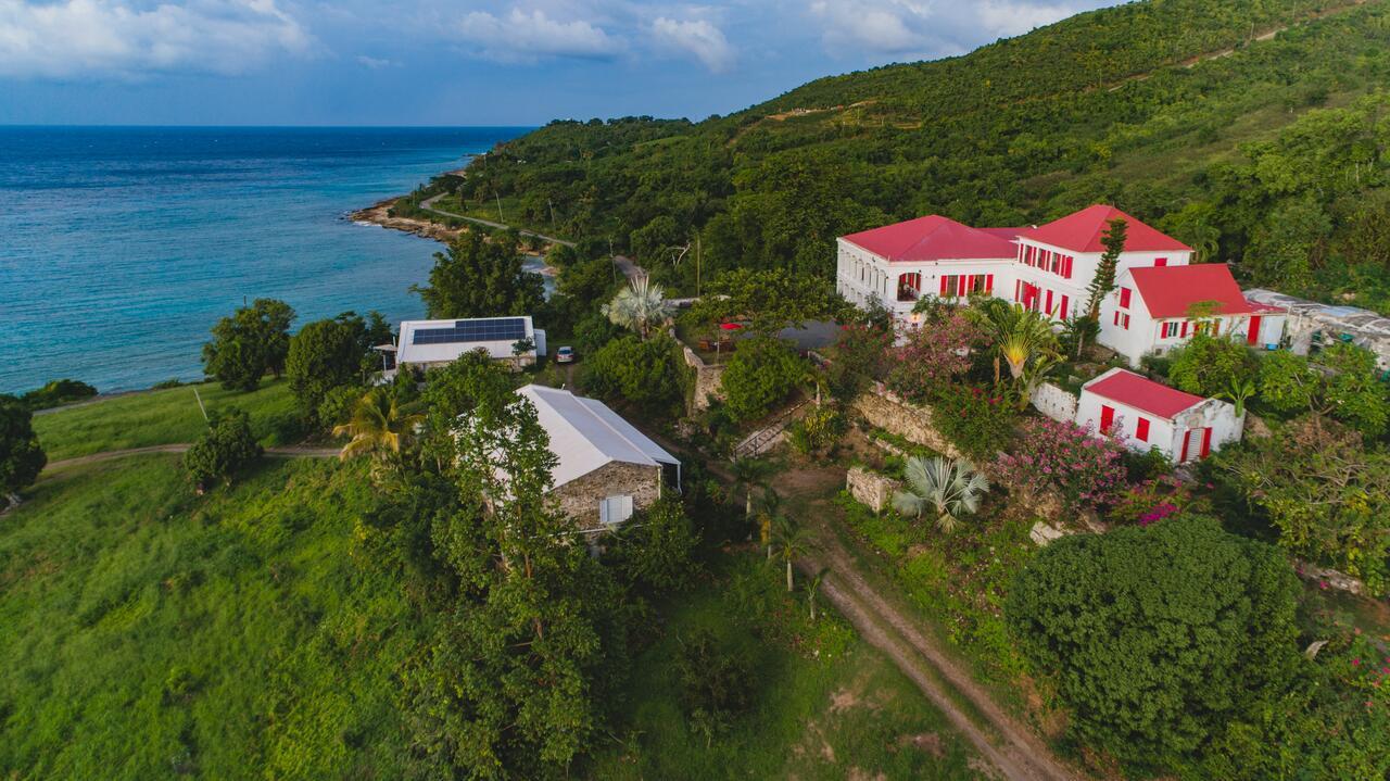Feather Leaf Inn Frederiksted ภายนอก รูปภาพ