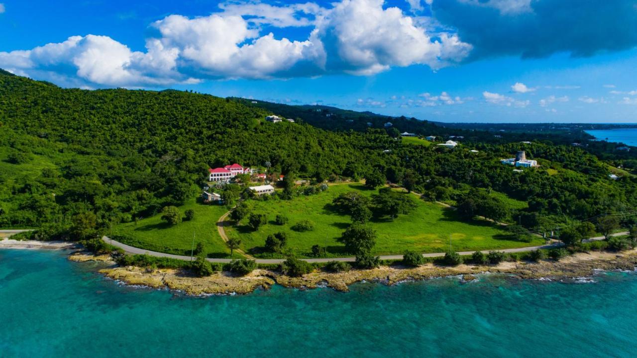 Feather Leaf Inn Frederiksted ภายนอก รูปภาพ