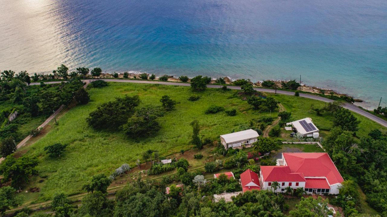 Feather Leaf Inn Frederiksted ภายนอก รูปภาพ