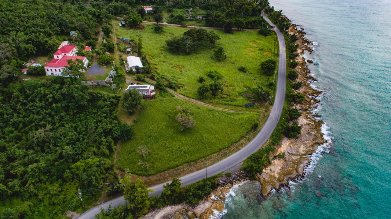 Feather Leaf Inn Frederiksted ภายนอก รูปภาพ